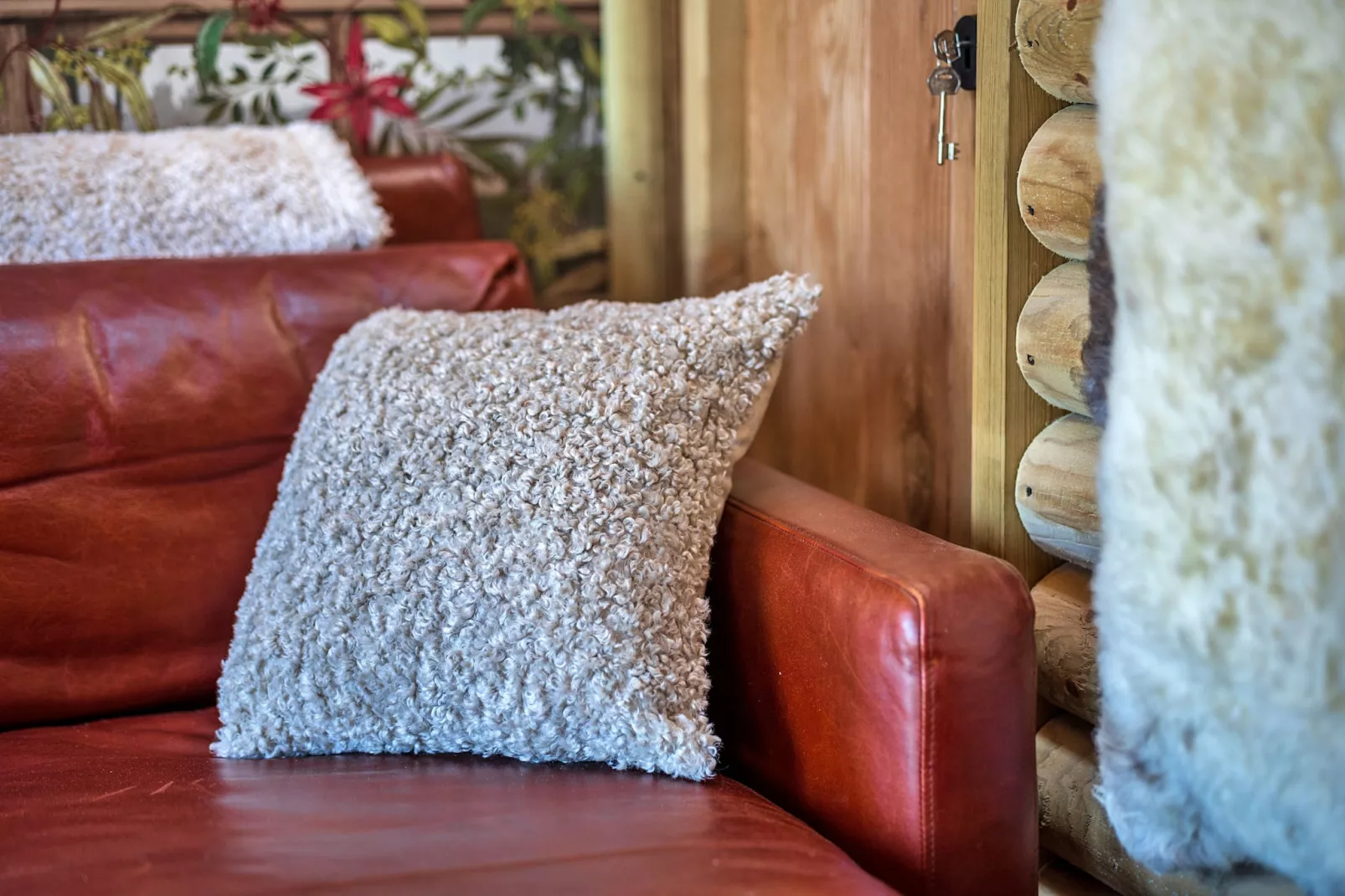 Driftwood-Ambiente
