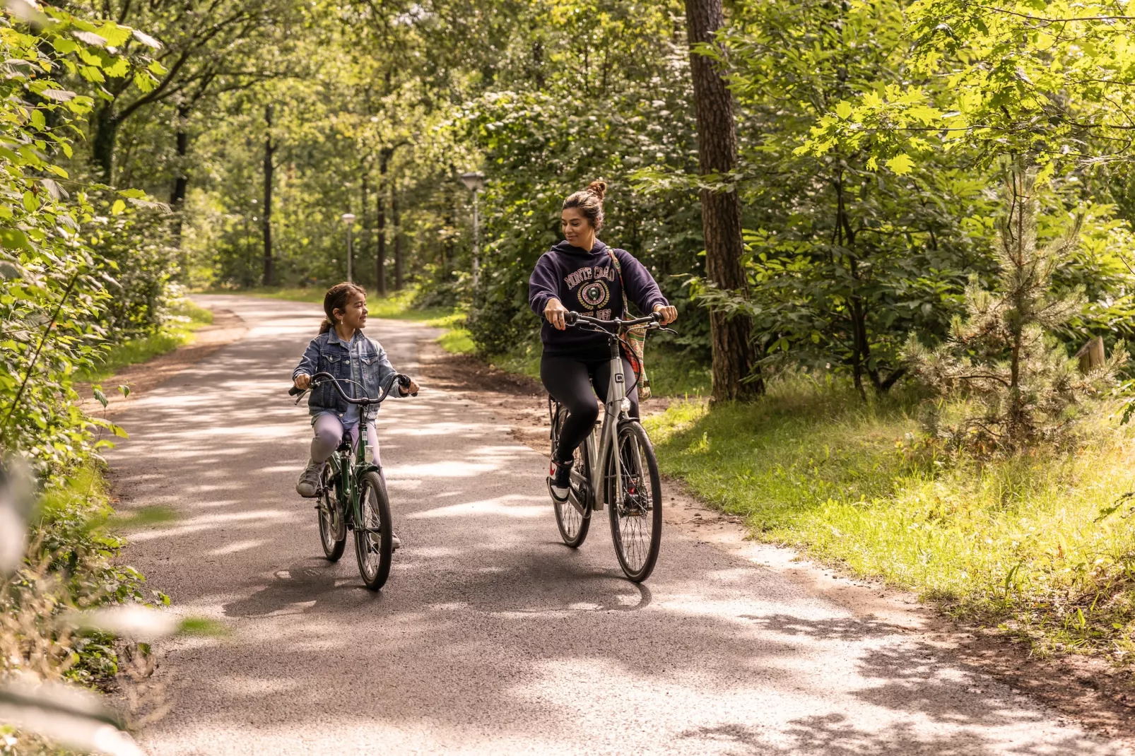Parc Heihaas 4-Areas summer 1km