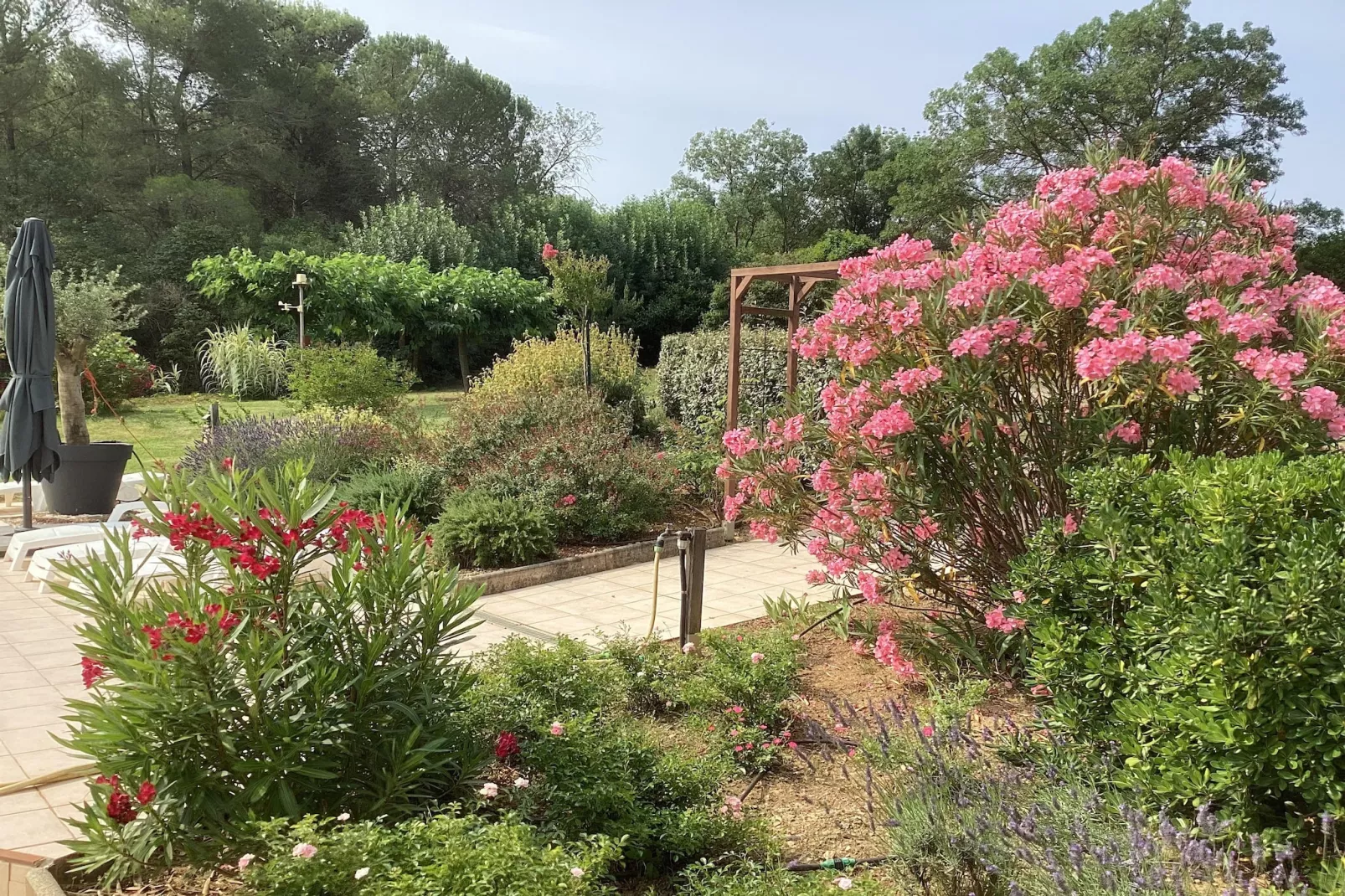 Villa Le Midi-Ambiente