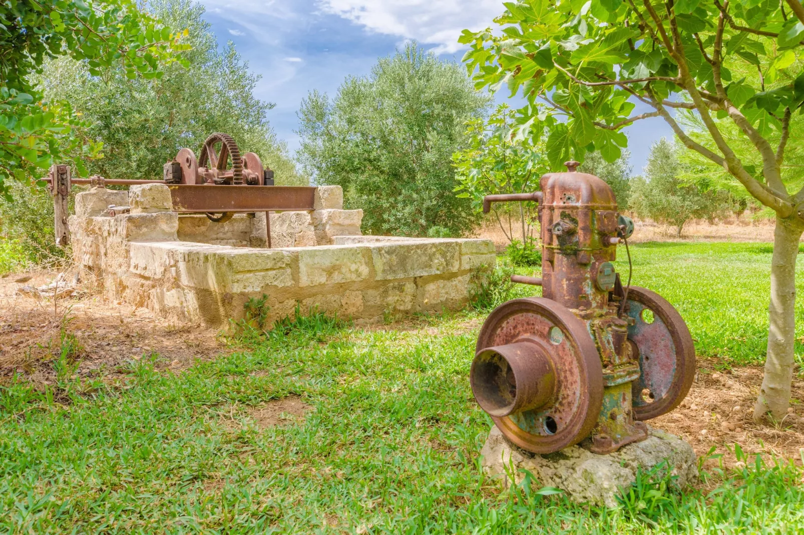 Son Sabater (es Moli Nou)-Gardens summer