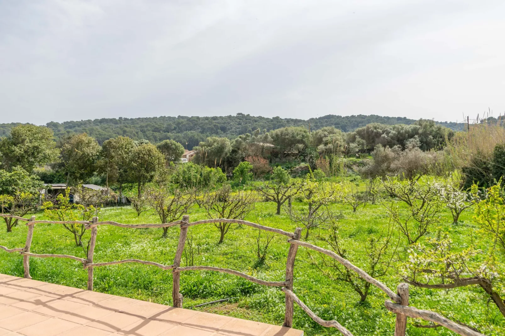 Casa Dina-Image-tags.