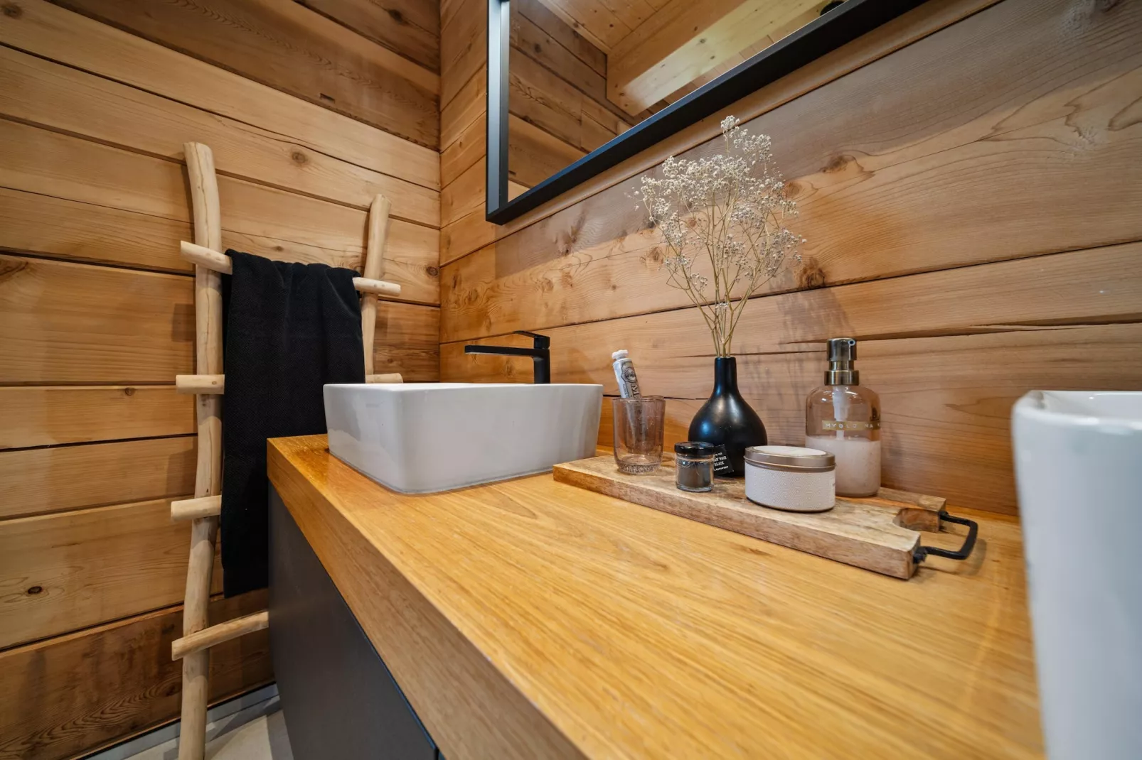 Smetanova Lhota  JSP029-Salle de bain