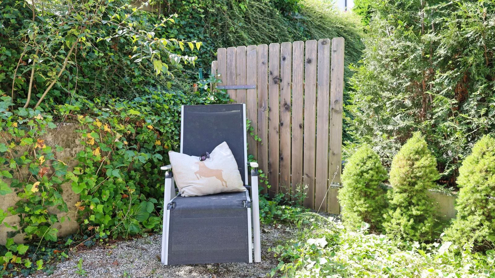 Müller Nr 1 und 2-Gardens summer