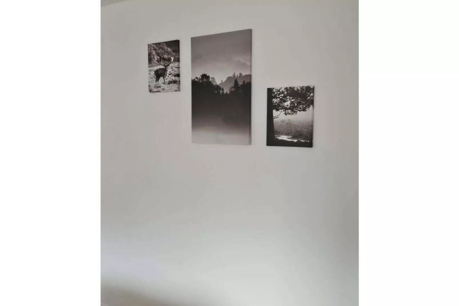 490403-Ambiance