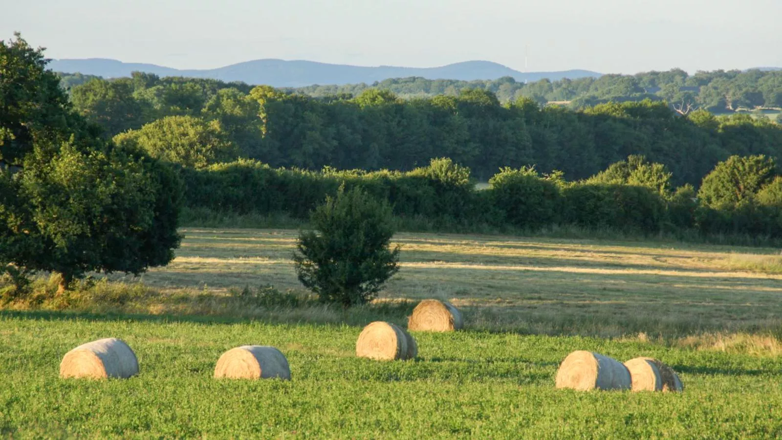 Savigny-Gebiete Sommer 5 km