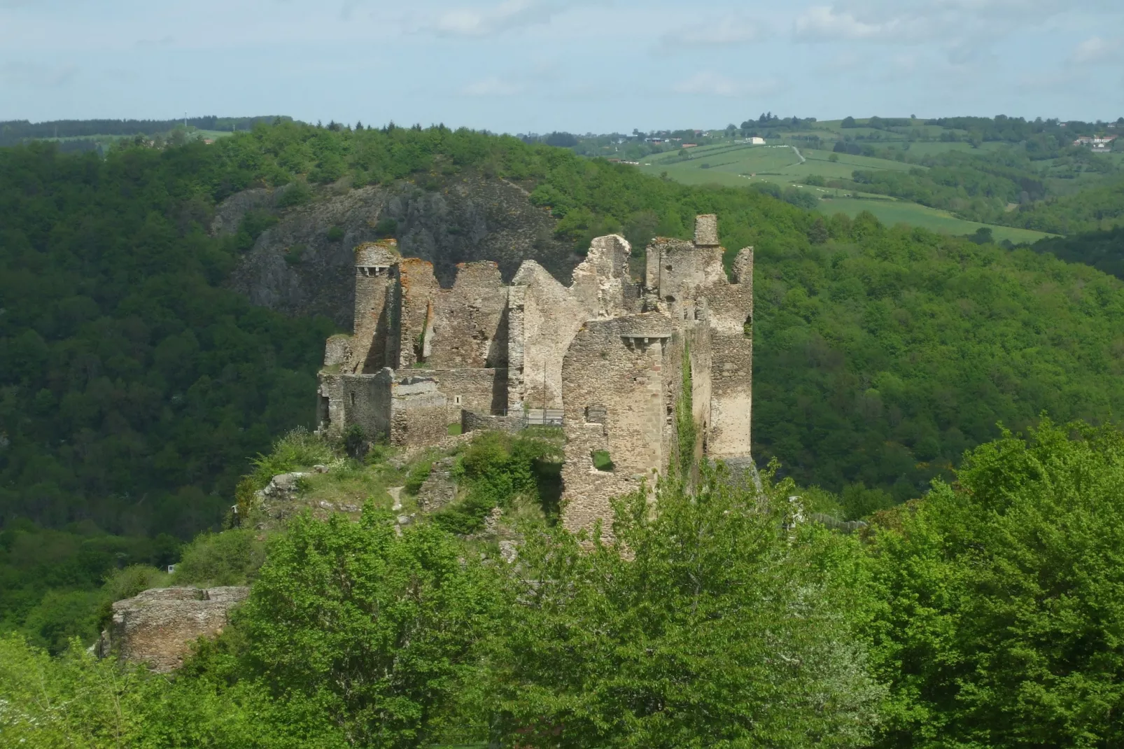 Le Dauphin bleu-Areas summer 20km