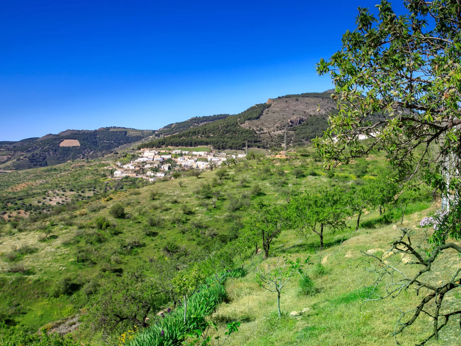 Paraje Starlight Murtas - Alpujarra-Draußen