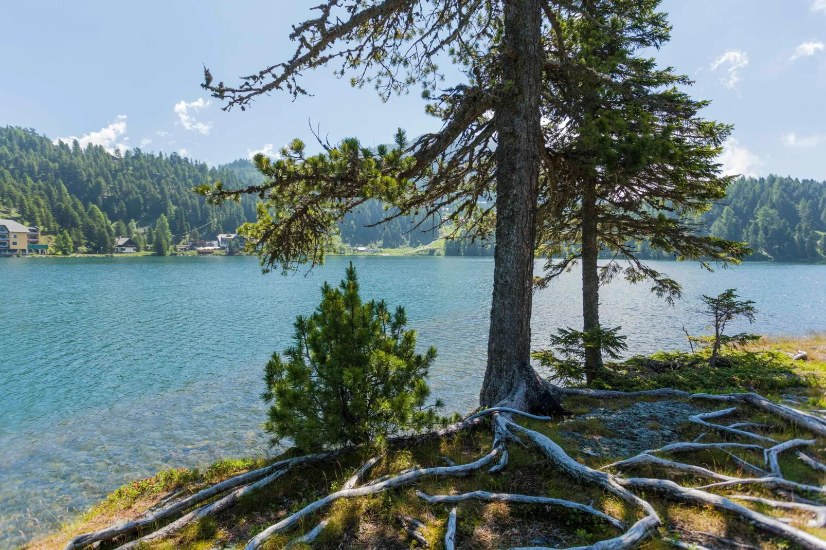 Resort Turrach Lodges 1-Areas summer 5km