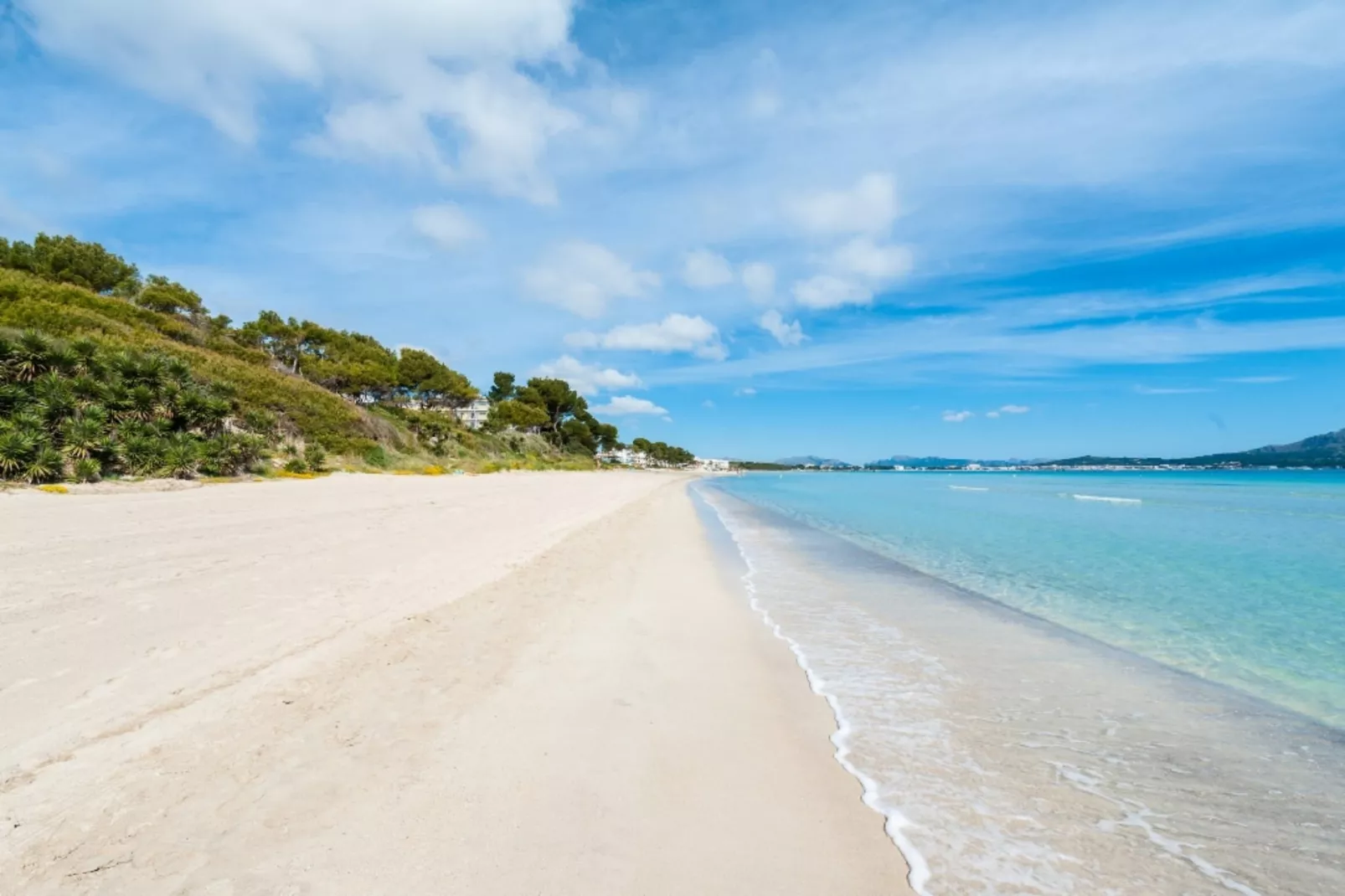 Ses Planes-Gebiete Sommer 5 km
