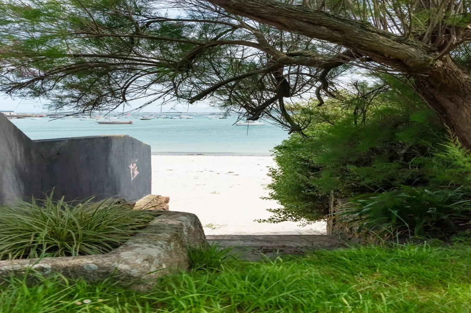 TY KOREJOU - Plouguerneau-Outdoor