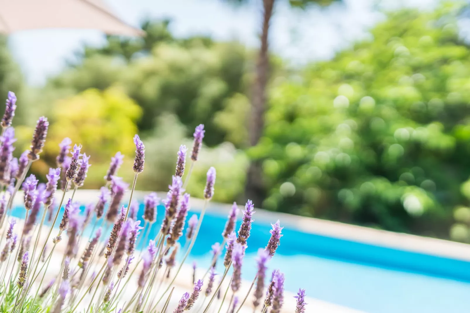 Villa Flores-Outdoor