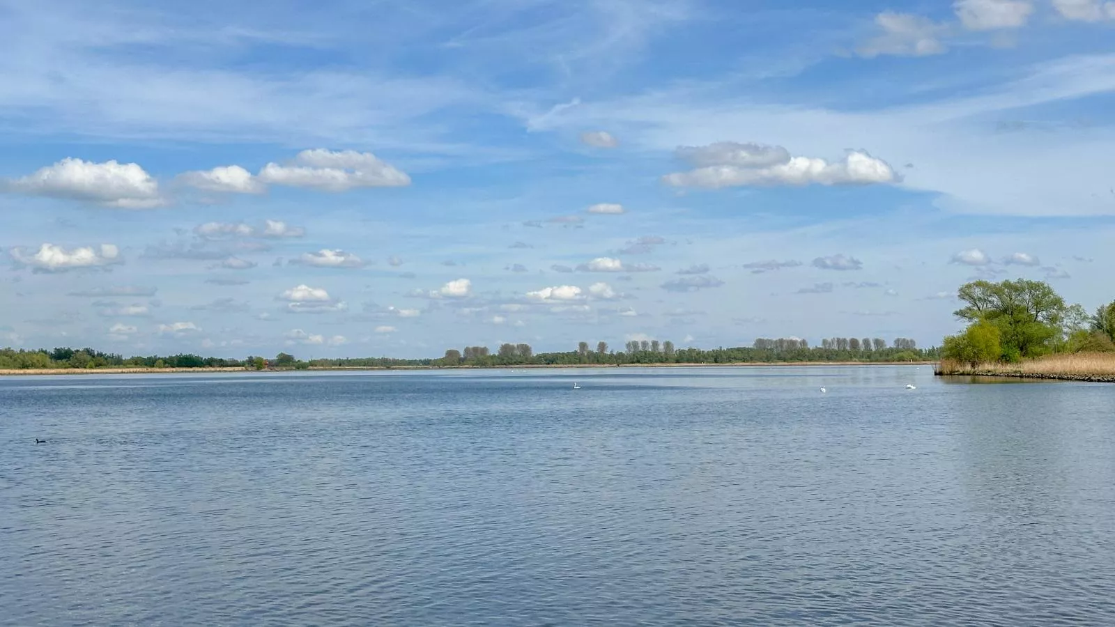 Biesboschhuisje-Zones d'été à 1 km
