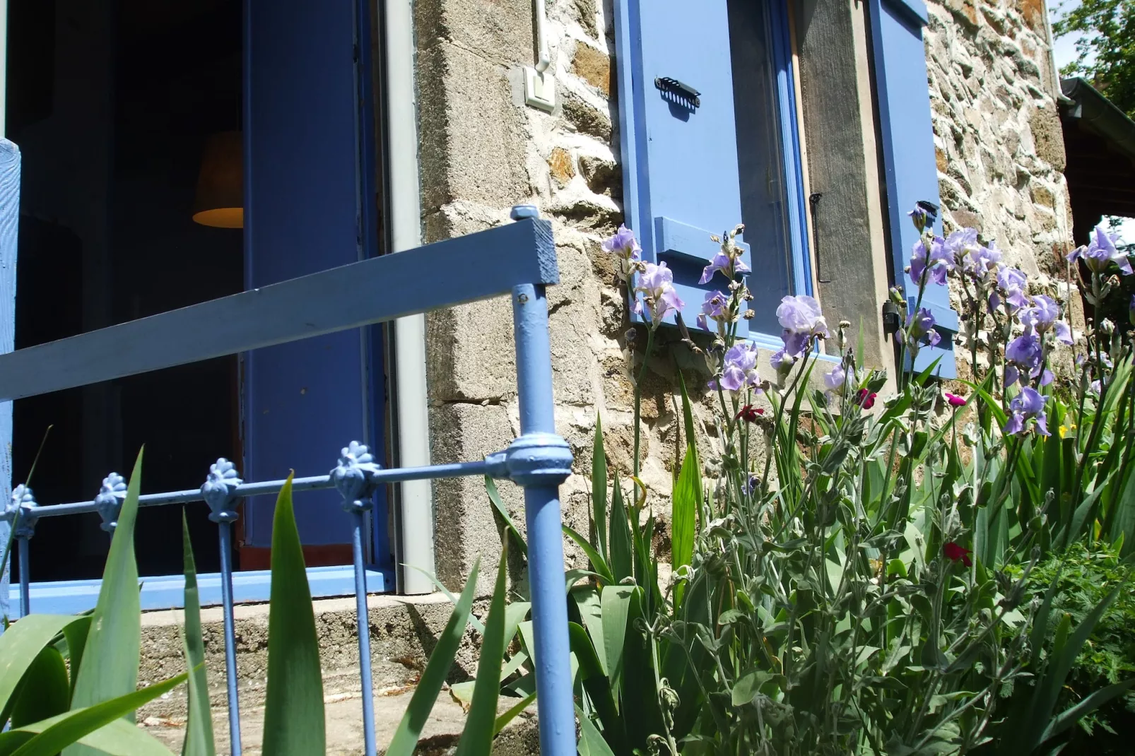 Le Dauphin bleu-Atmosphere