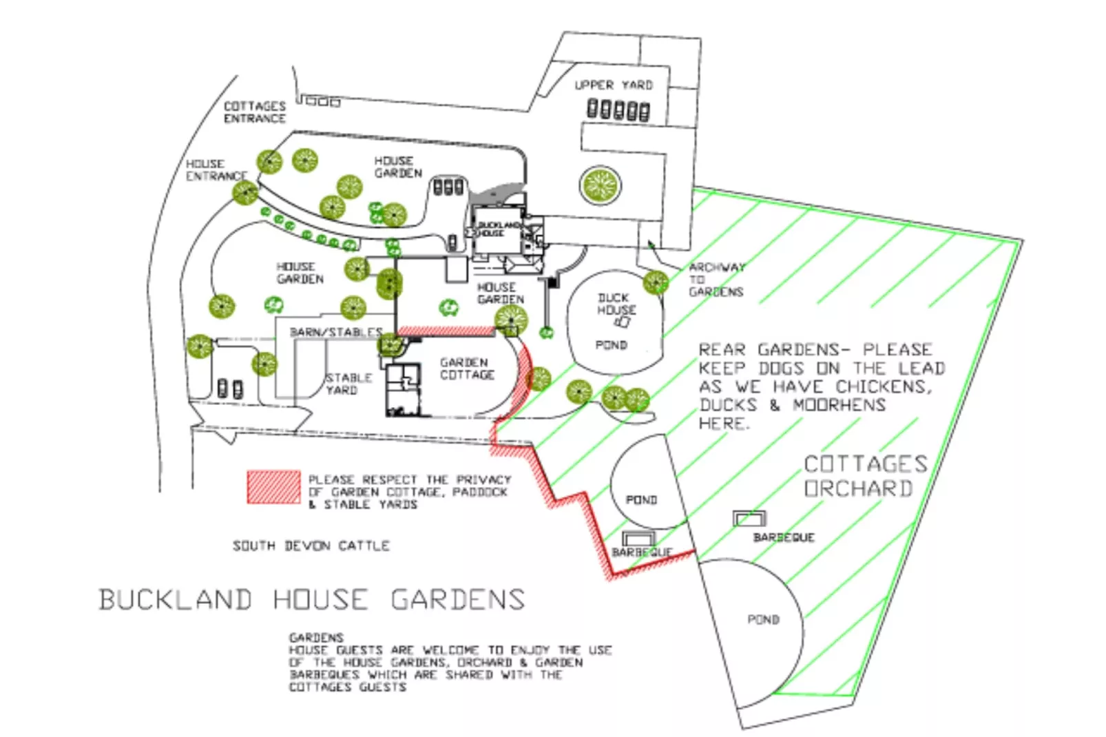 Buckland House-Grundriss