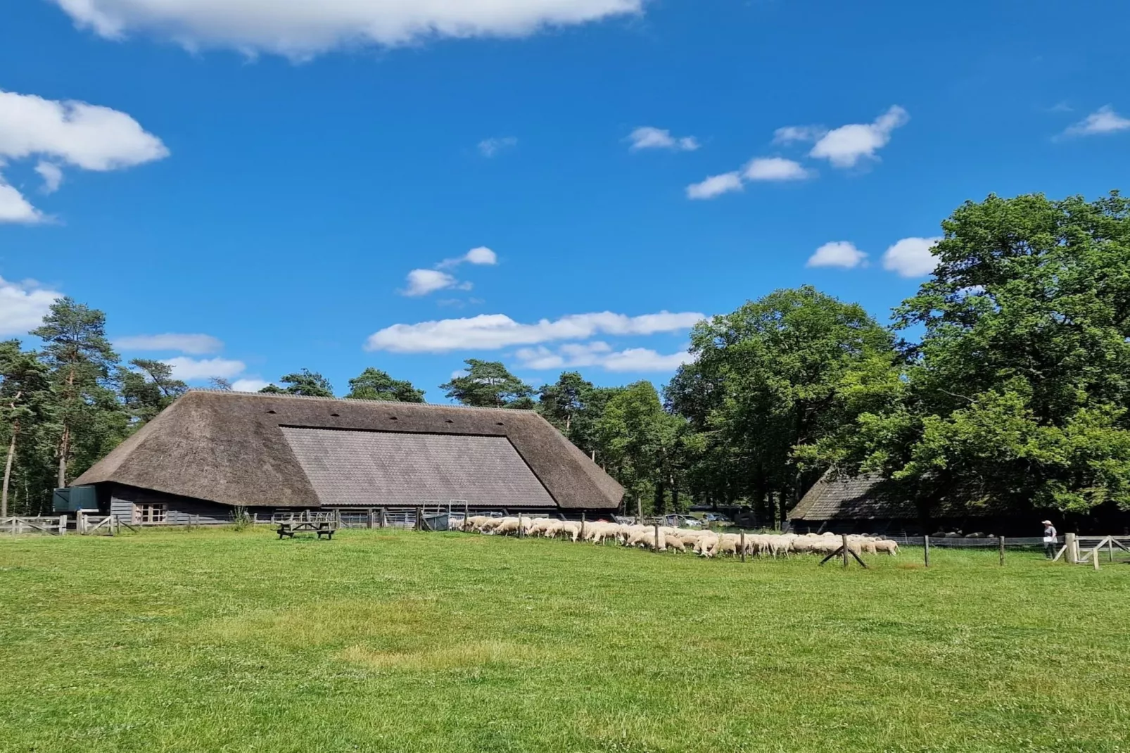 Chalet Nachtegaal (6 personen)-Gebiete Sommer 20 km