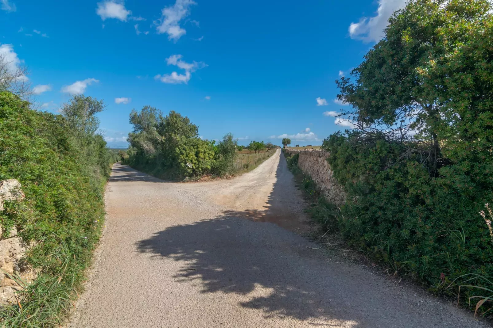 Son Gener (manacor)-Exterior summer