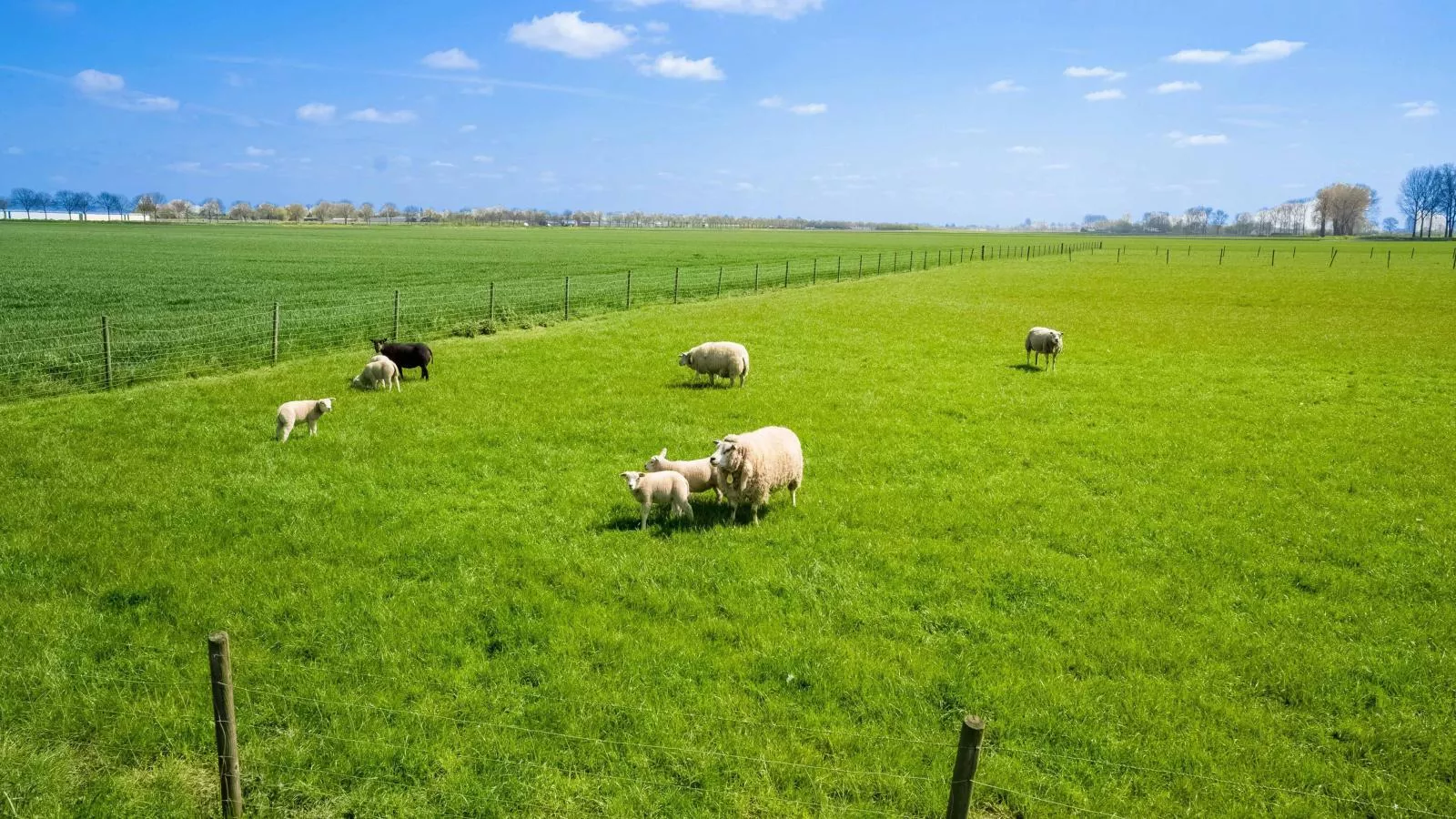 De Genderense Hoeve-Zones d'été à 1 km