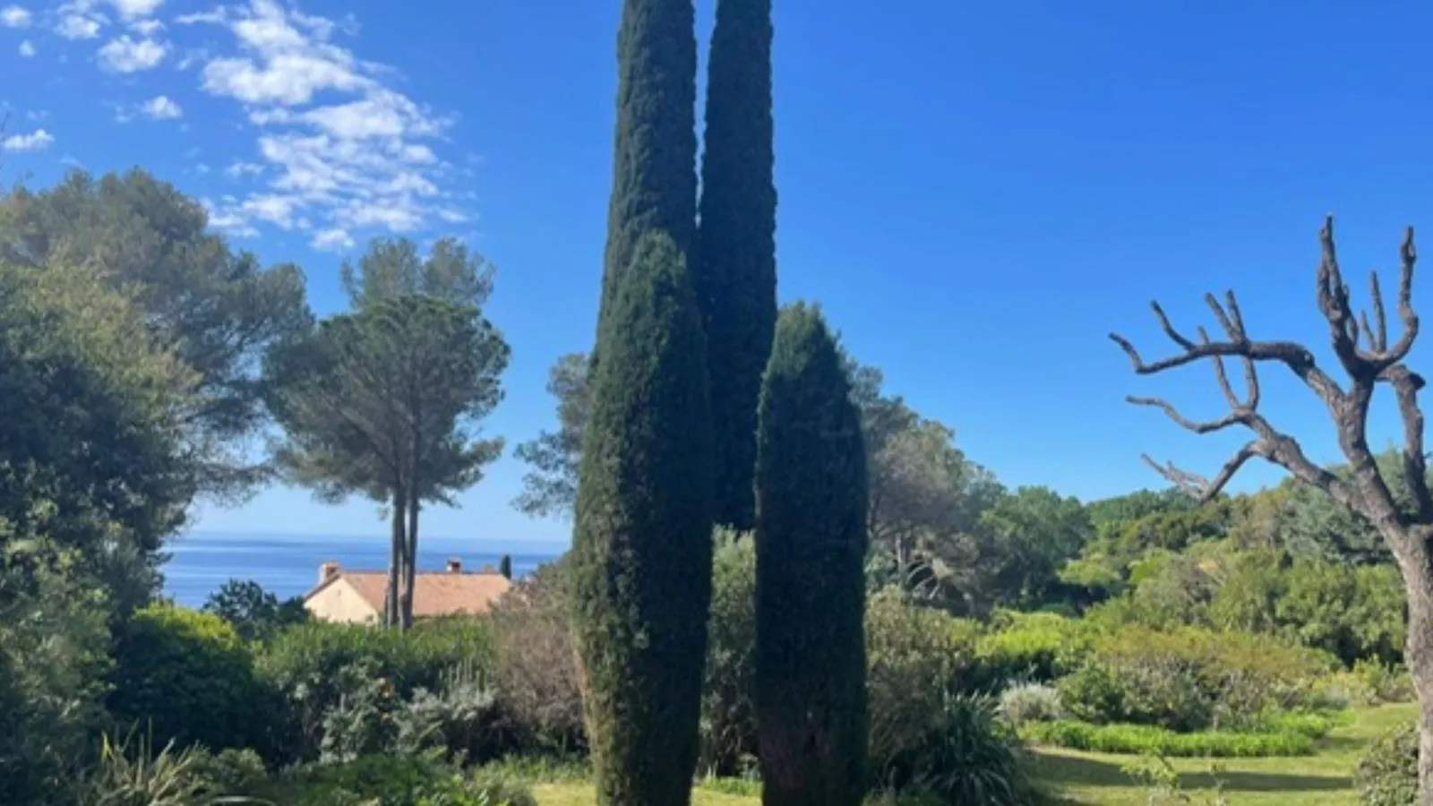 Loumic-View summer