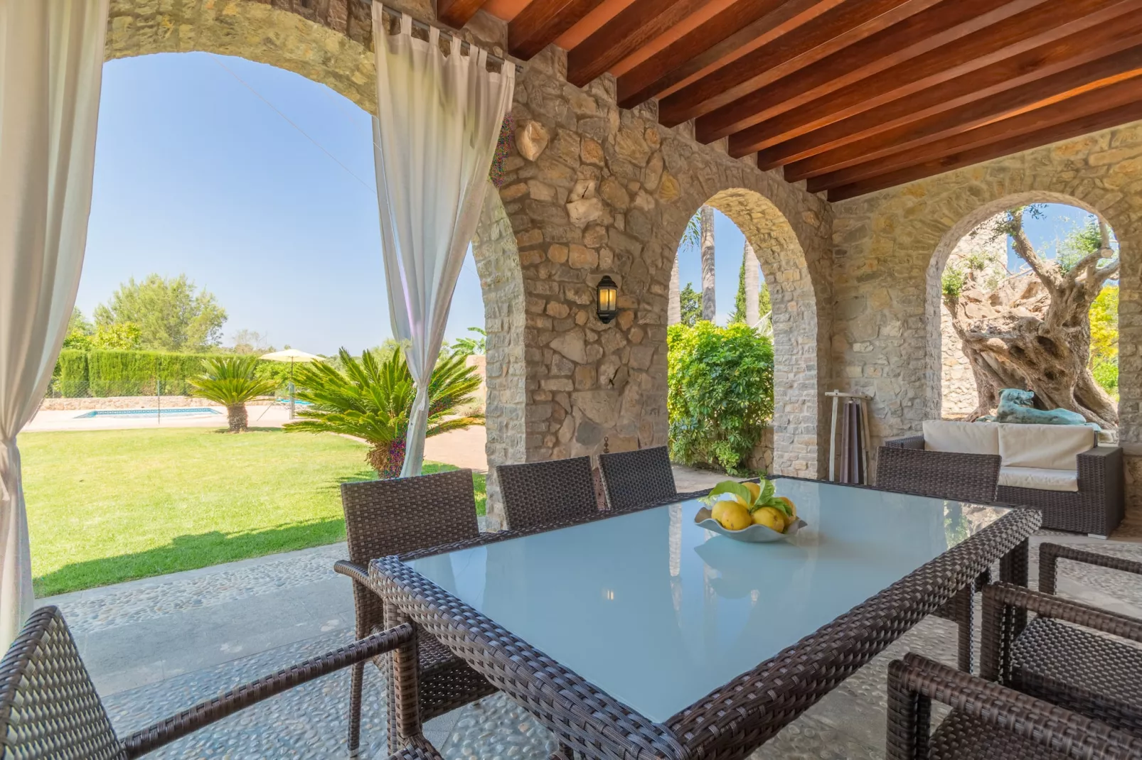 Buitre negro, Finca 5StarsHome Mallorca-Terrace