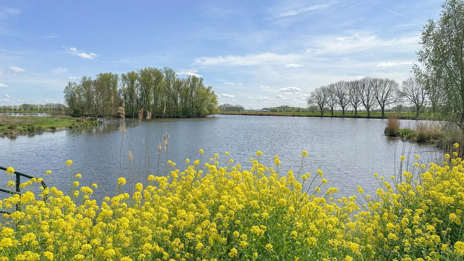 Biesboschhuisje-Zones d'été à 1 km