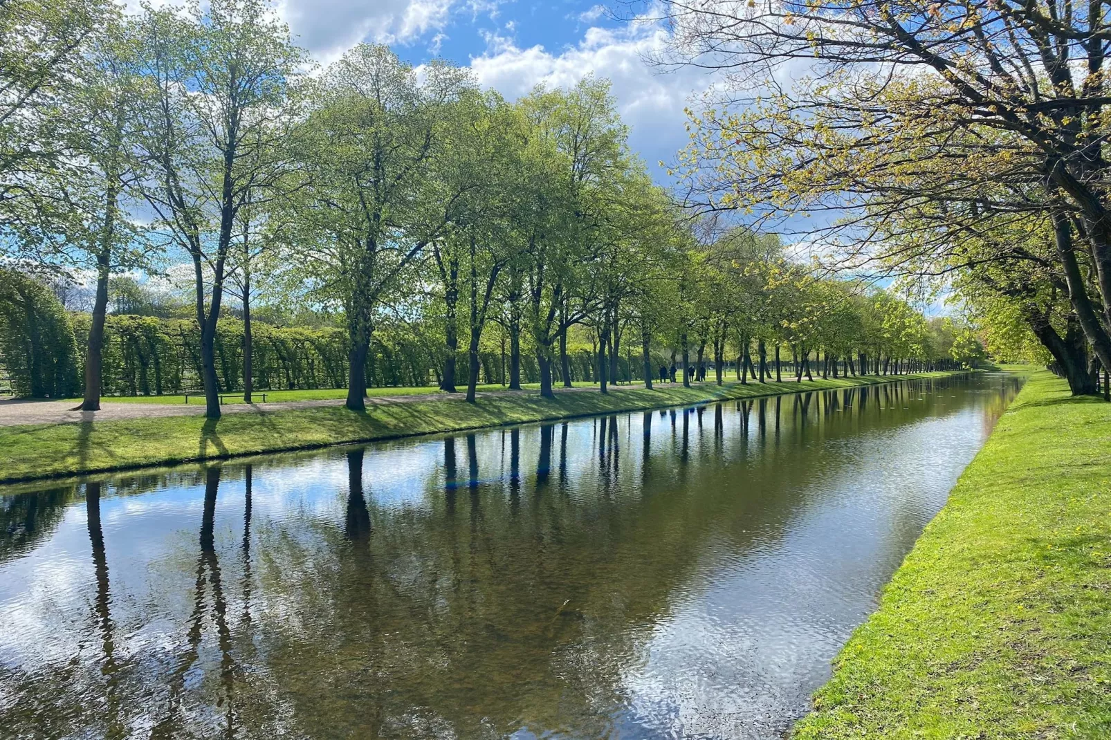 Residence Park am Schweriner See / 2-Raum-App im 2 Stock 60 qm-Areas summer 5km