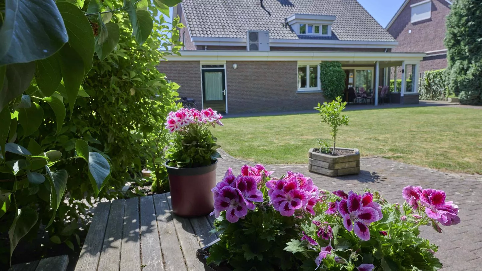 Lionshuis-Gardens summer