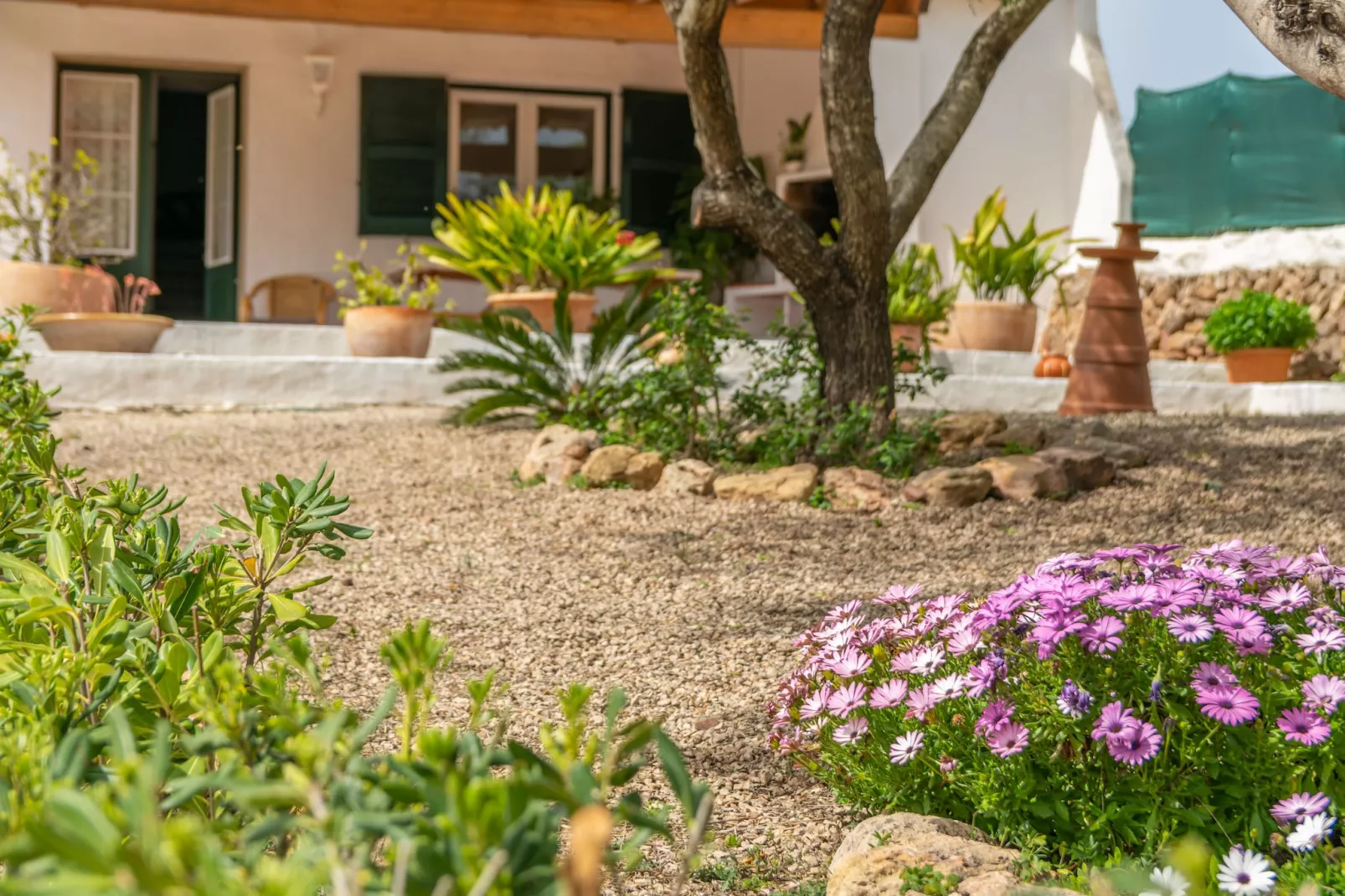 Casa Dina-Image-tags.