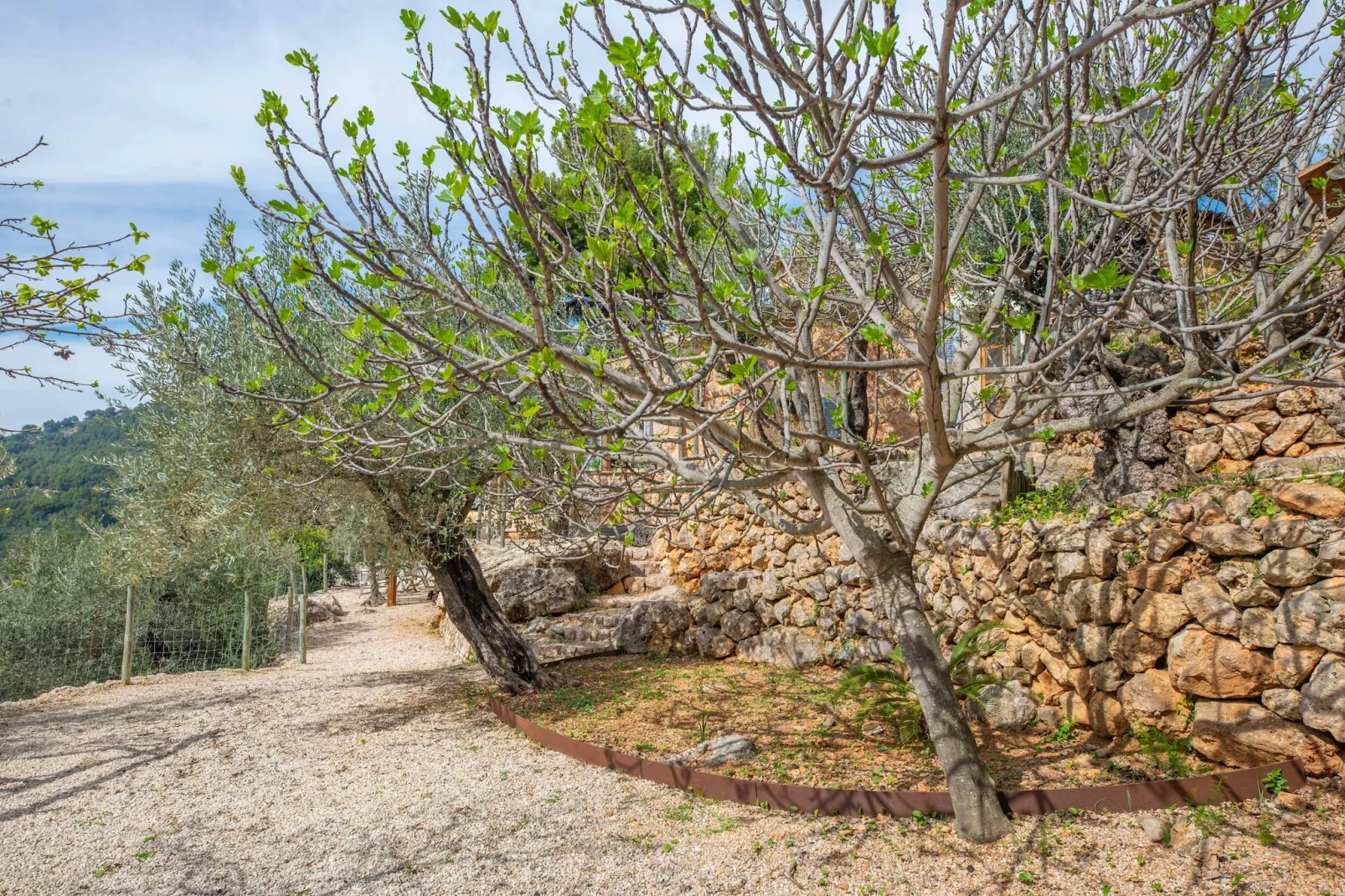 Els Abats-Image-tags.