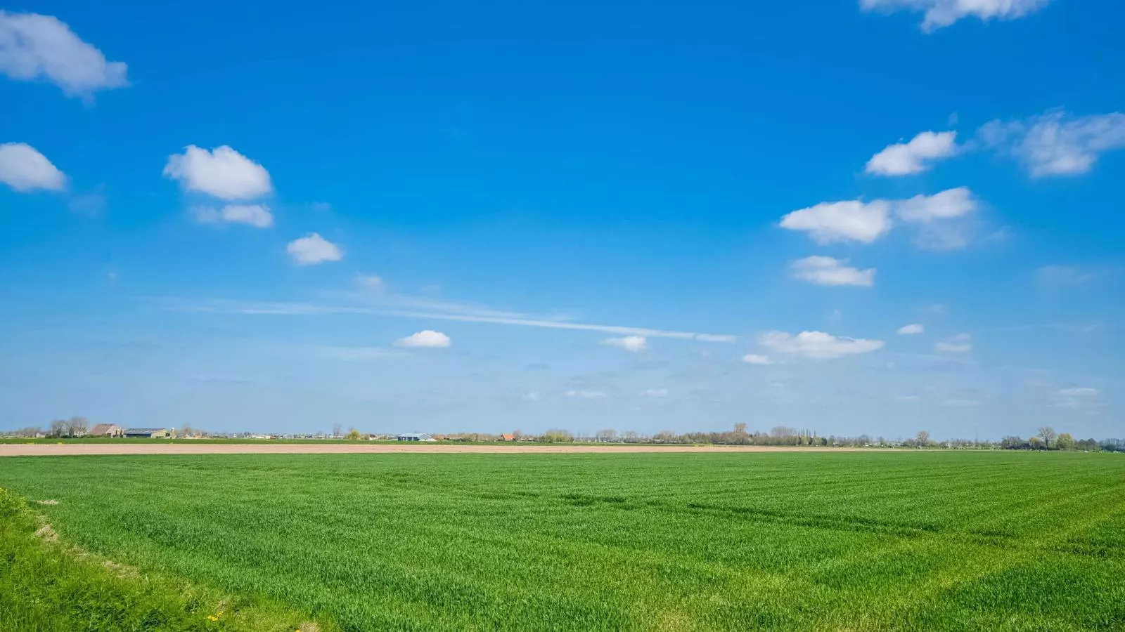 De Genderense Hoeve-Vue d'été
