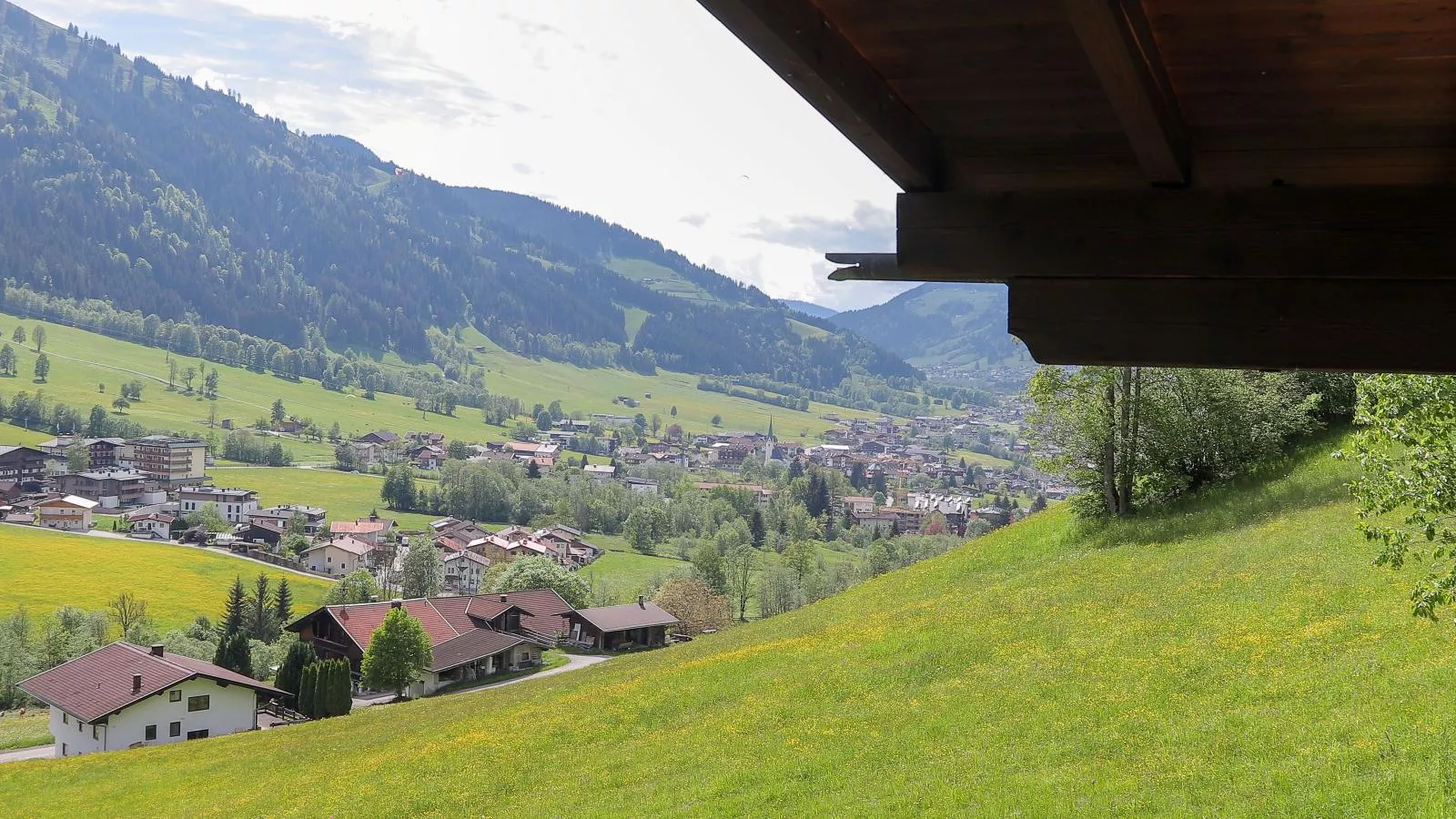 Kitzbüheler-Alpen Chalet-Aussicht Sommer