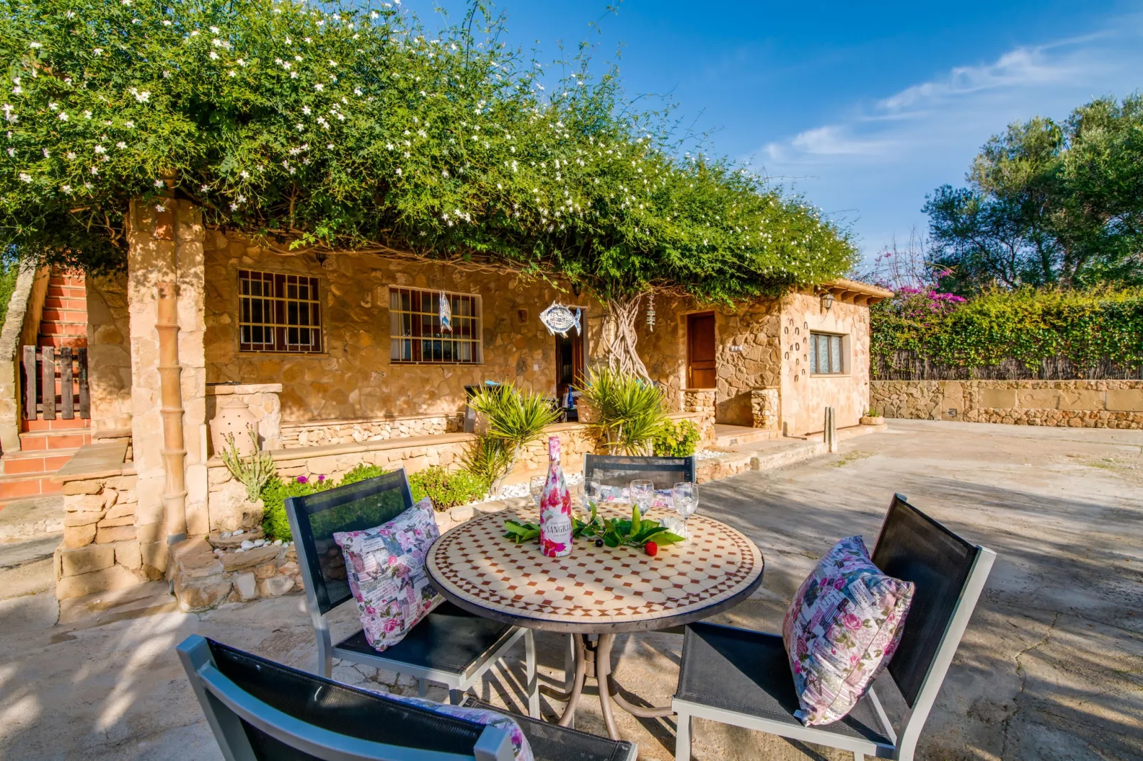 Sa Vinya Vella-Terrace