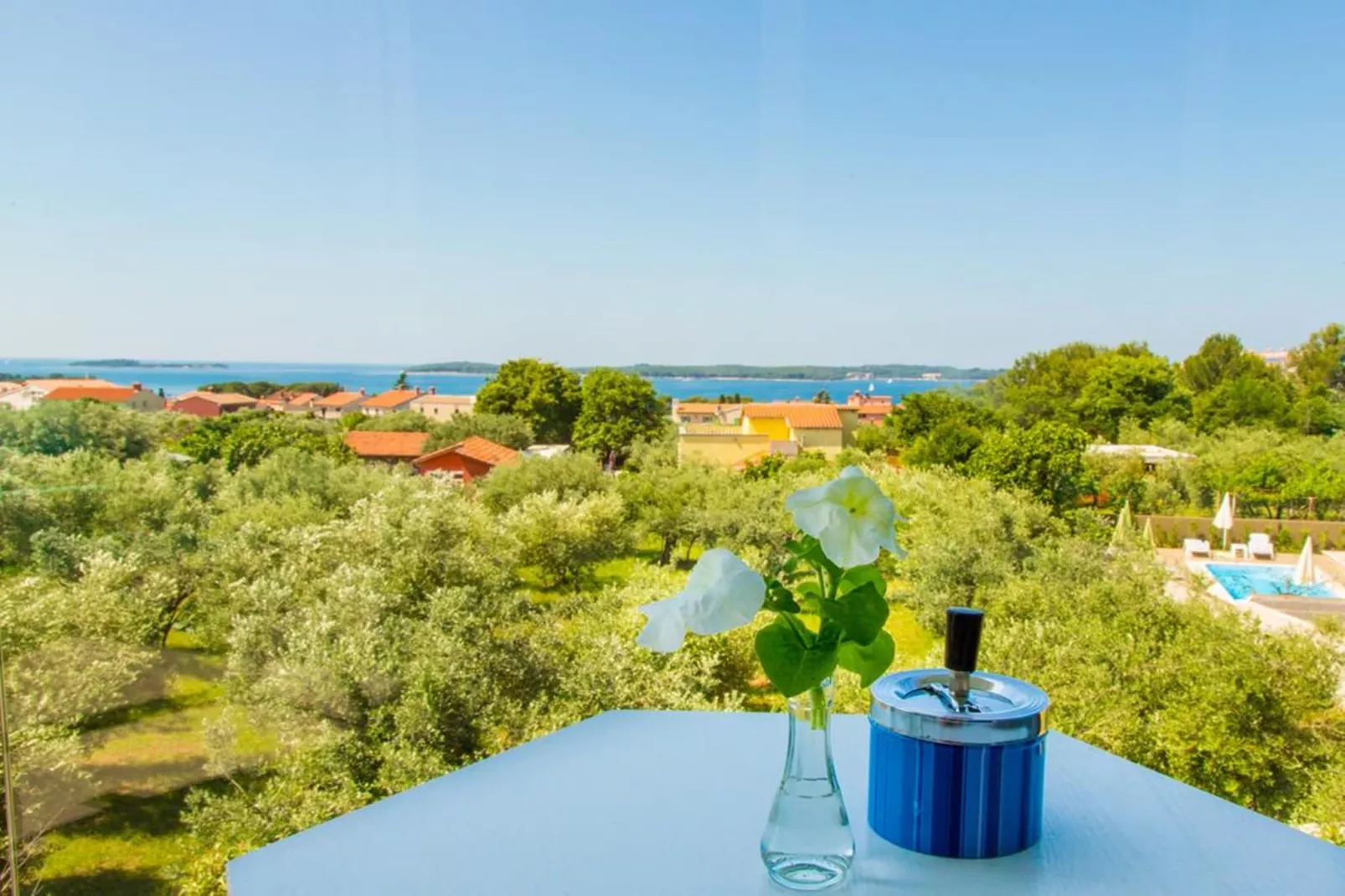Villa with Pool and Sea View in Fazana - Horizont-Outdoor