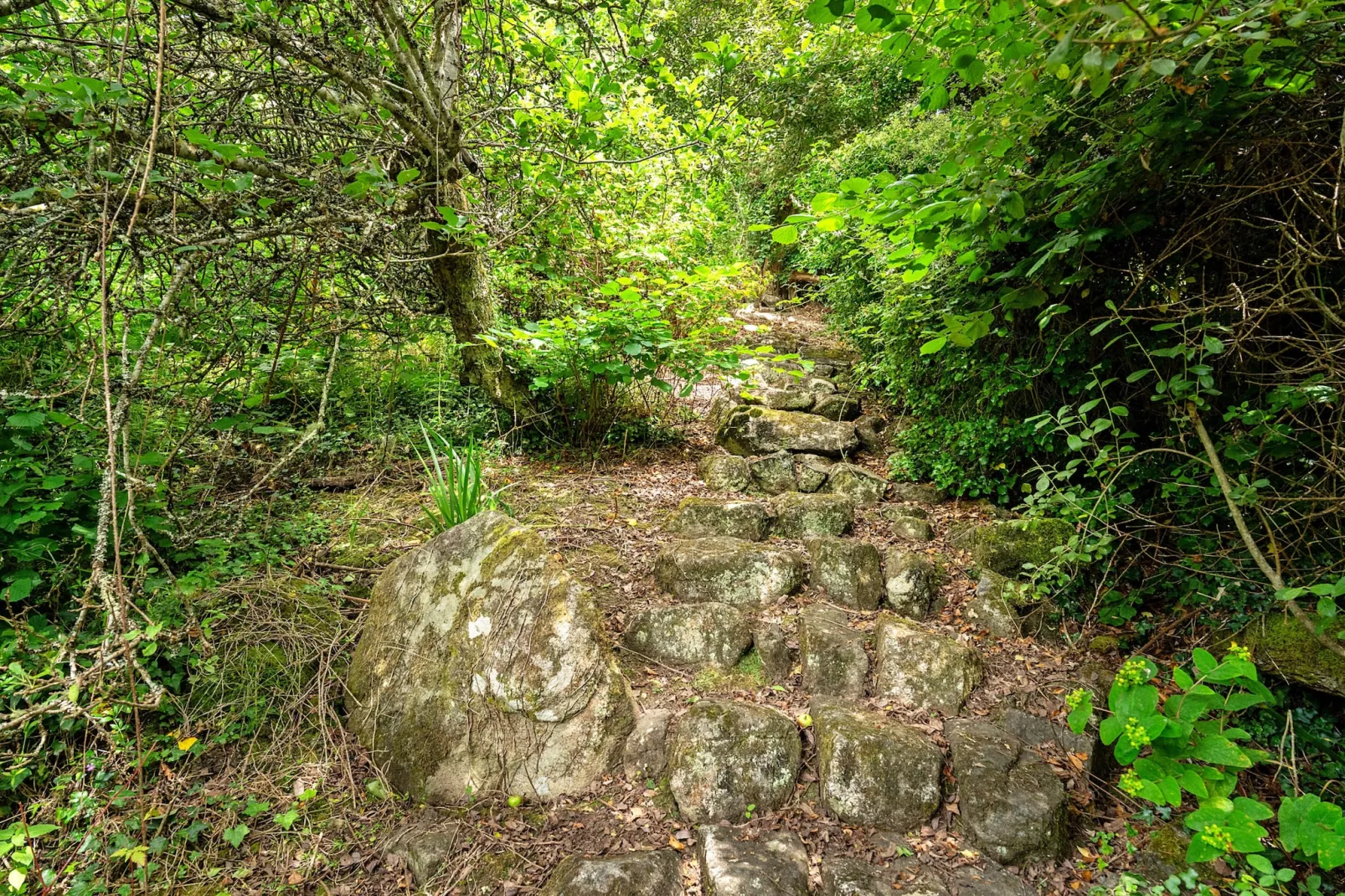 Tregatreath-Outdoor