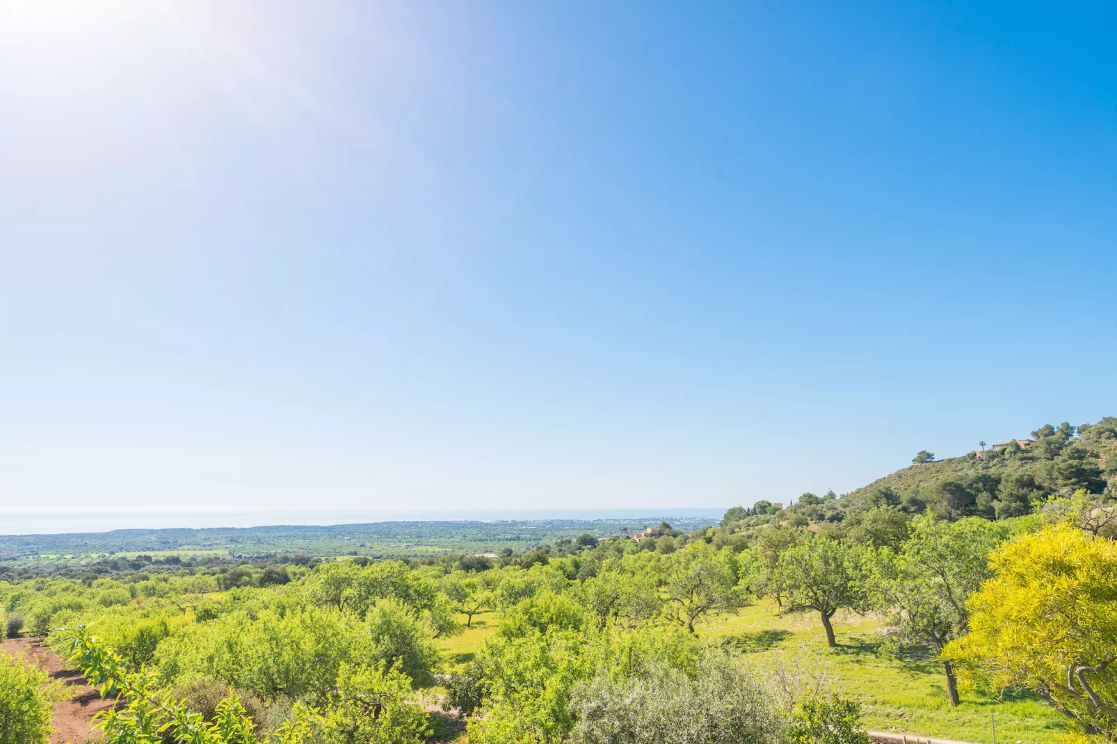 Sa Roca Blanca-View summer