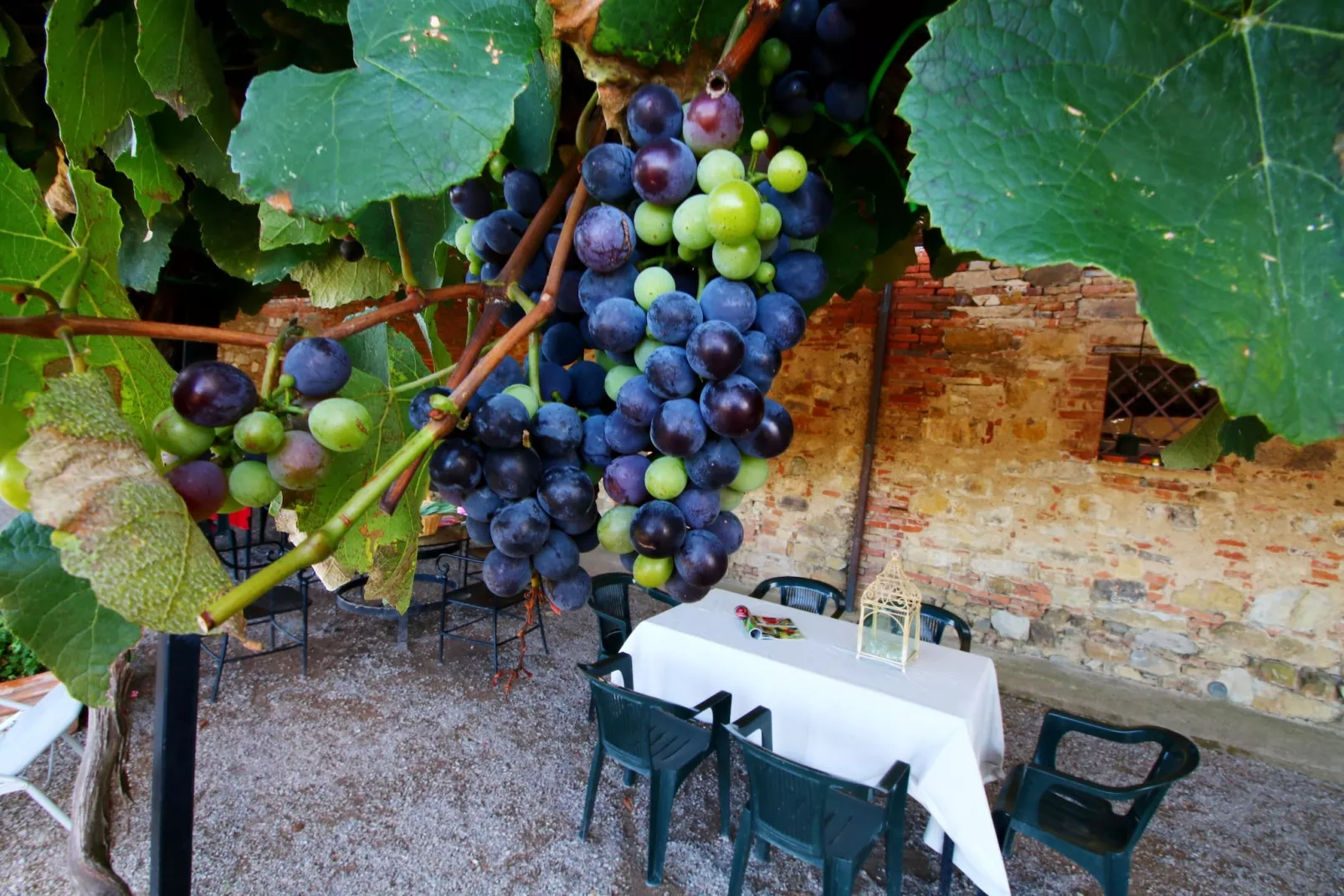 Fiordalisi-Balcon-terrasse
