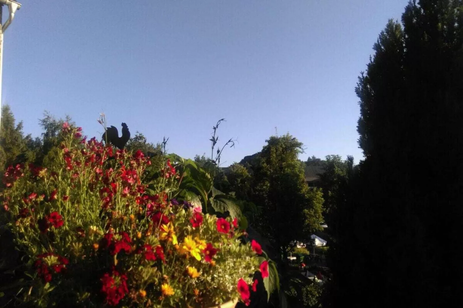 202645-Aussicht Sommer