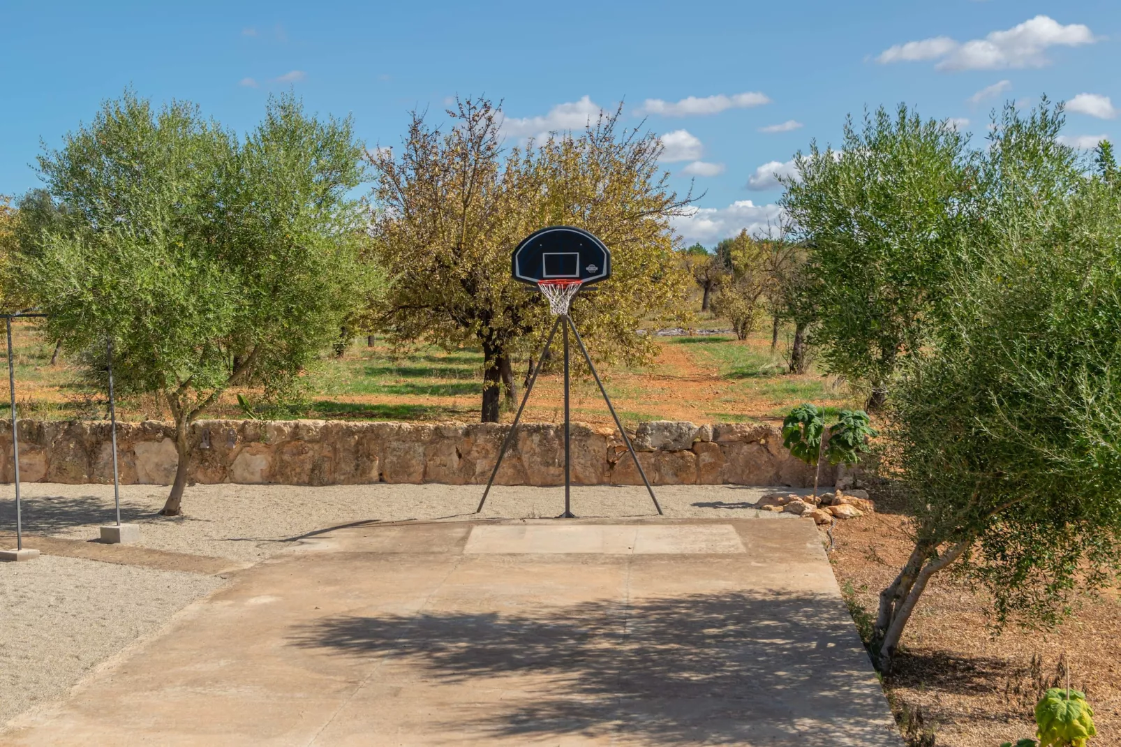Sa Caseta (ca N'andreu)-Gardens summer