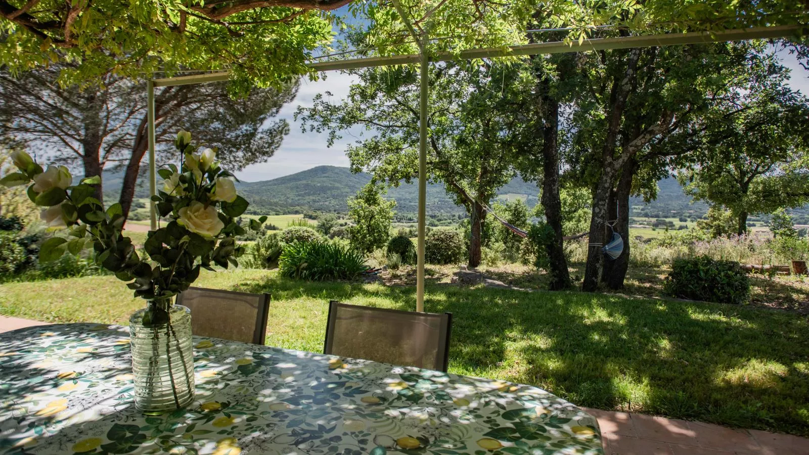 Entre les vignes-Gardens summer