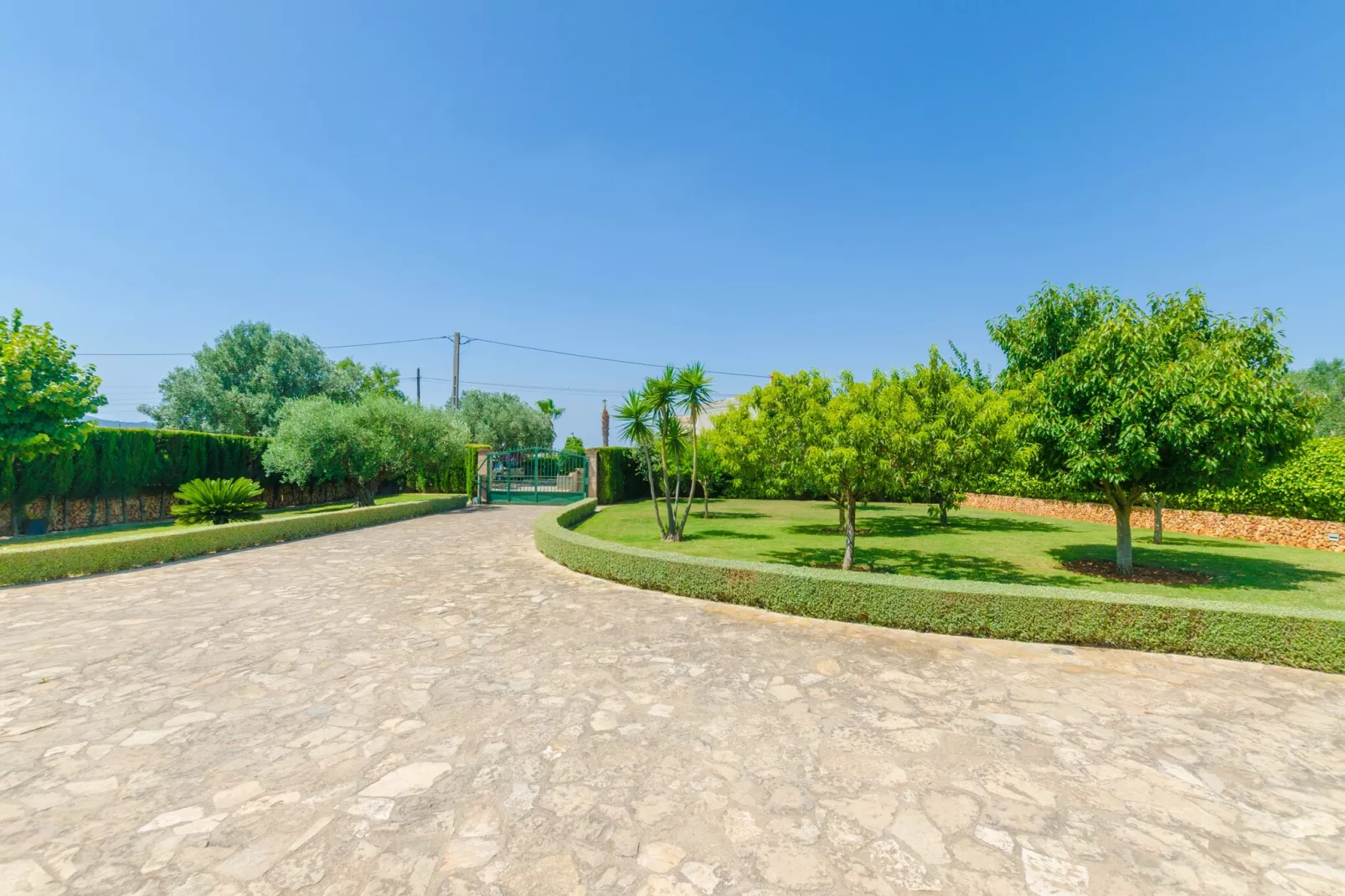 Son Frau-Areas summer 1km