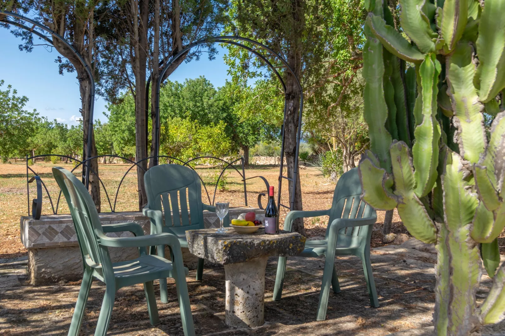 Sa Caseta (ca N'andreu)-Gardens summer