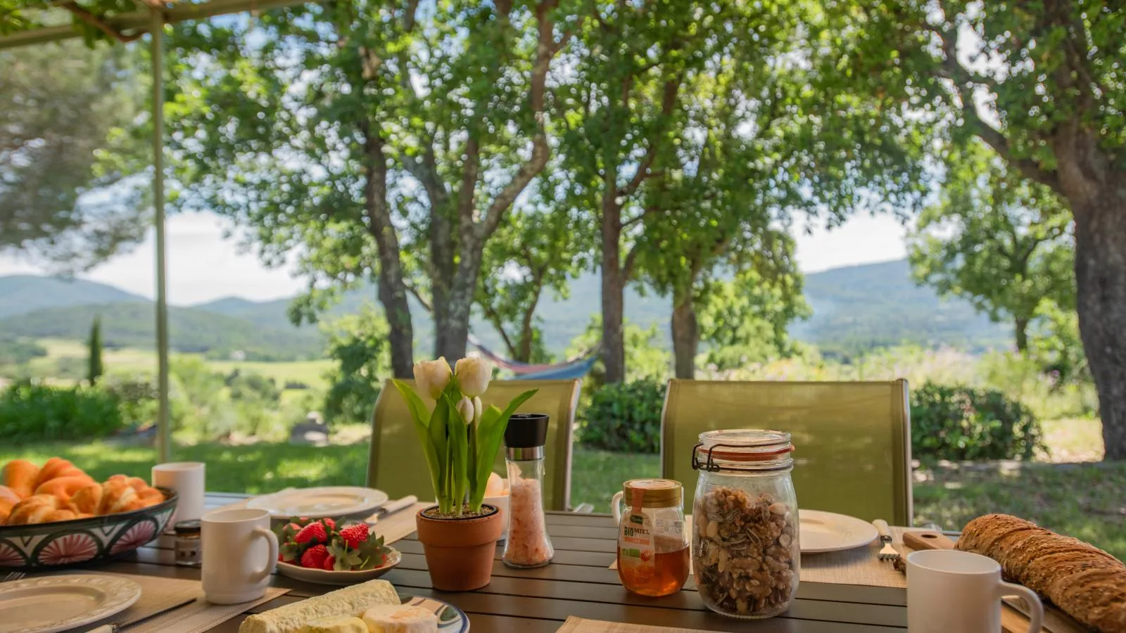 Entre les vignes-View summer