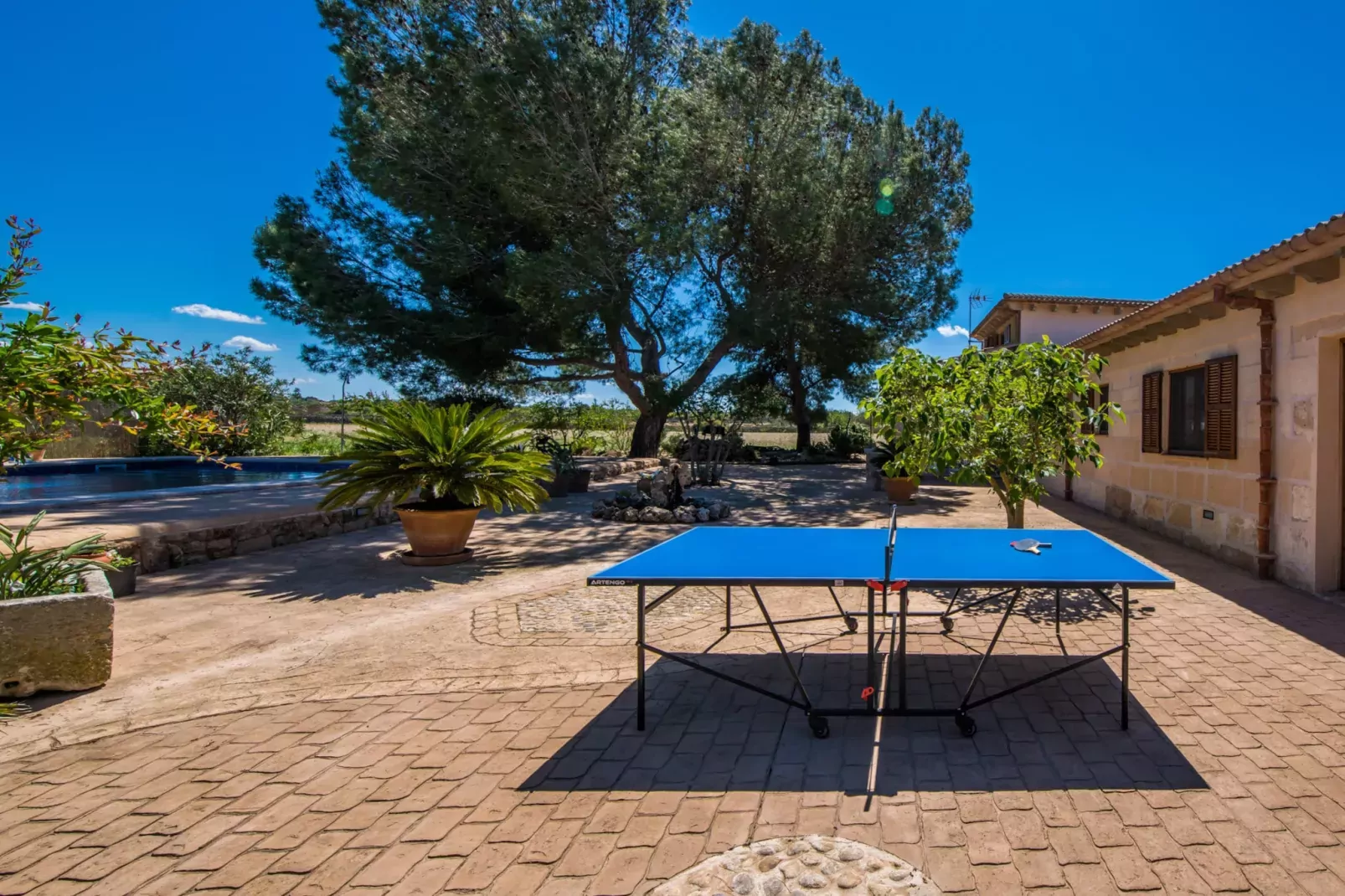 Can Ribas-Terrace