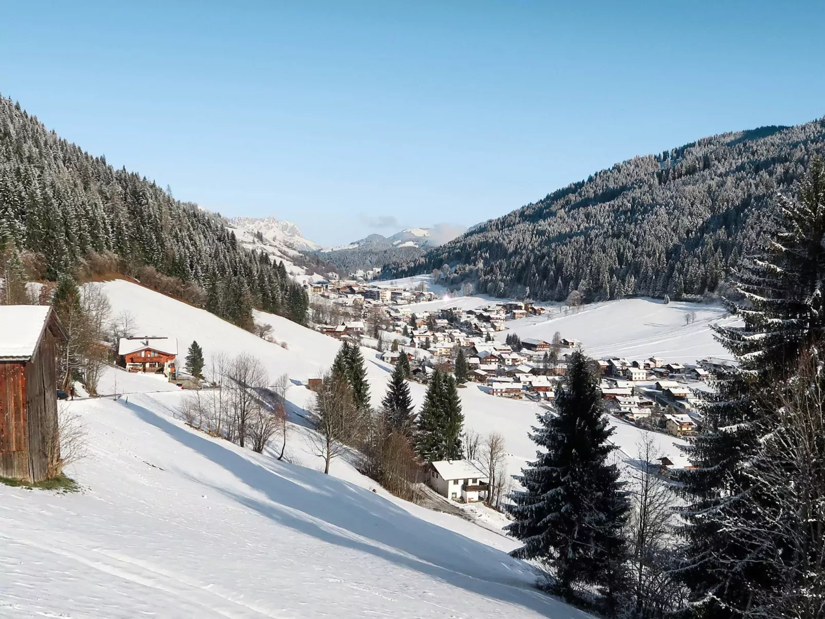 Hohe Salve-Area