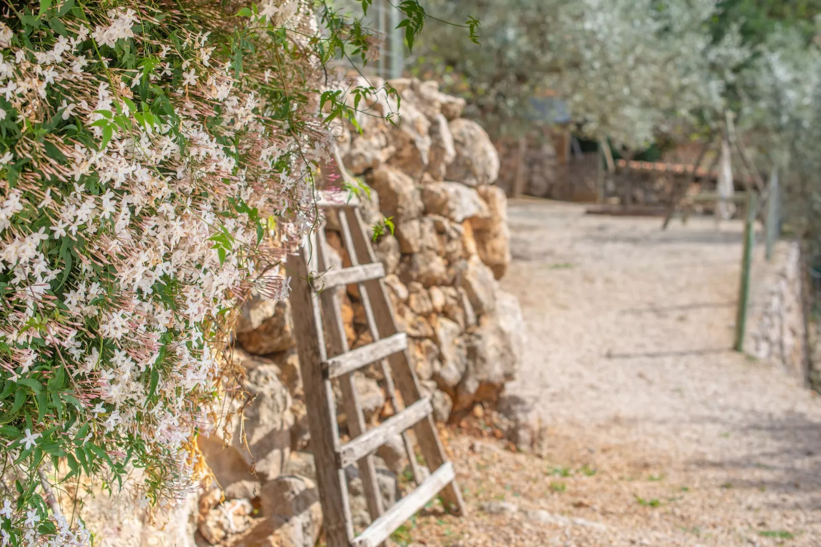 Els Abats-Image-tags.