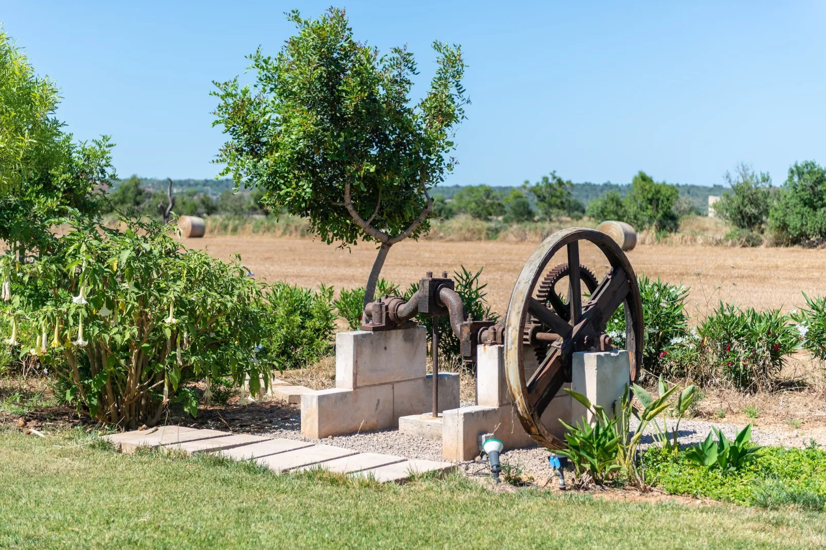 Ses Barreres-Gardens summer