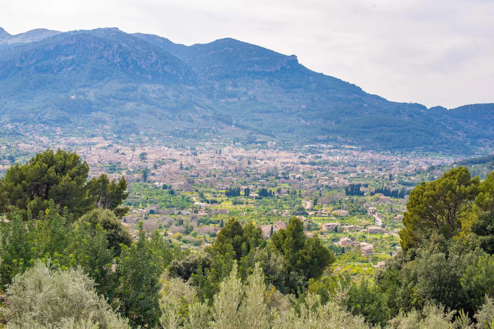 Els Abats-Image-tags.