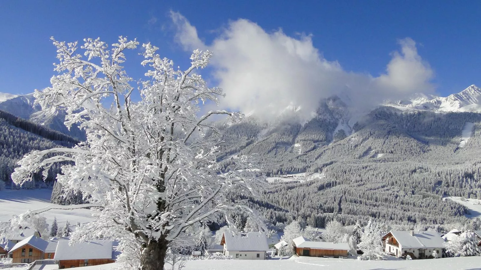 Die Bergliebe-View winter