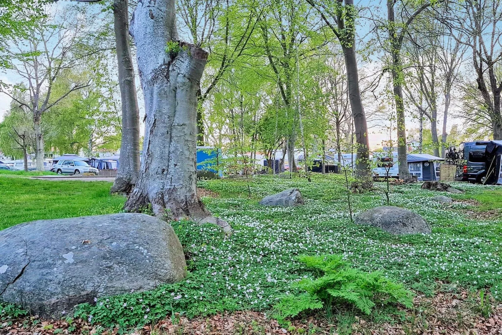 7 person holiday home in SÖLVESBORG-By Traum-Not tagged