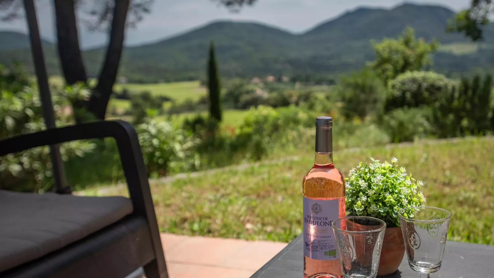 Entre les vignes-Gardens summer