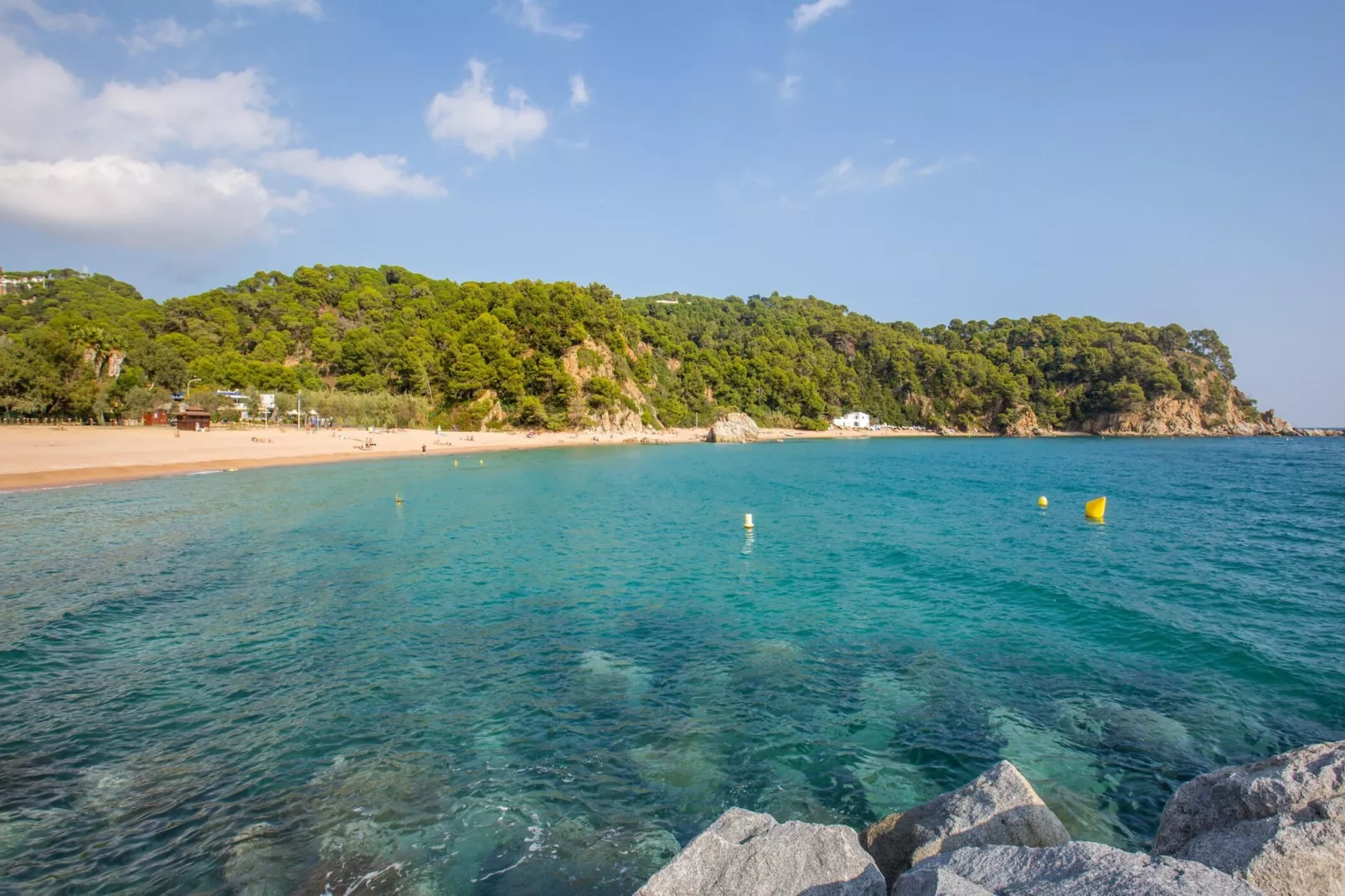 Castanyer-Areas summer 5km